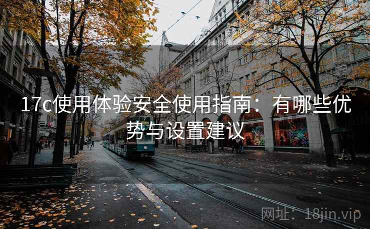 17c使用体验安全使用指南：有哪些优势与设置建议