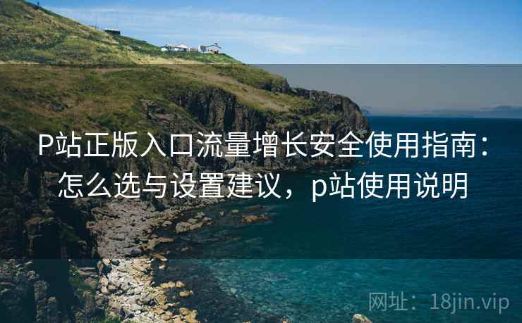 P站正版入口流量增长安全使用指南:怎么选与设置建议,p站使用说明 P站正版入口流量增长安全使用指南:怎么选与设置建议,p站使用说明