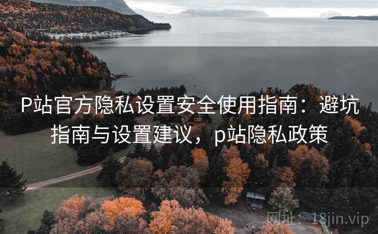 P站官方隐私设置安全使用指南：避坑指南与设置建议，p站隐私政策