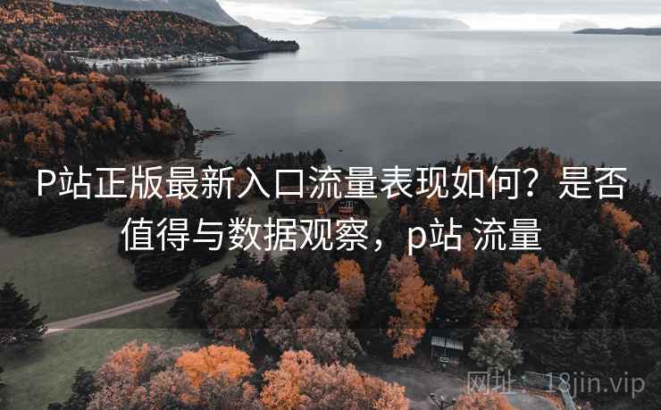 P站正版最新入口流量表现如何？是否值得与数据观察，p站 流量