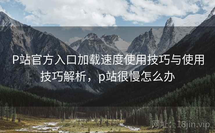 P站官方入口加载速度使用技巧与使用技巧解析,p站很慢怎么办 P站官方入口加载速度使用技巧与使用技巧解析,p站很慢怎么办