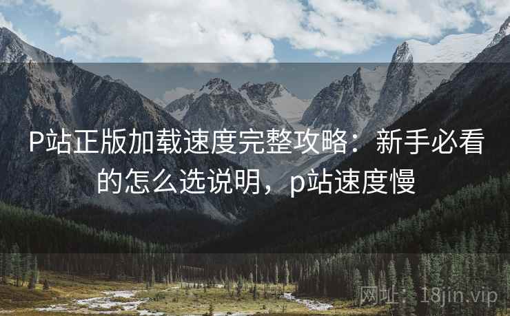 P站正版加载速度完整攻略：新手必看的怎么选说明，p站速度慢