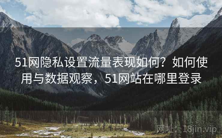 51网隐私设置流量表现如何？如何使用与数据观察，51网站在哪里登录