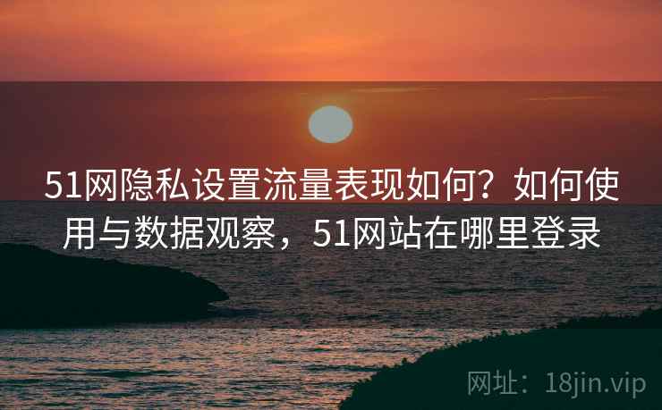 51网隐私设置流量表现如何？如何使用与数据观察，51网站在哪里登录