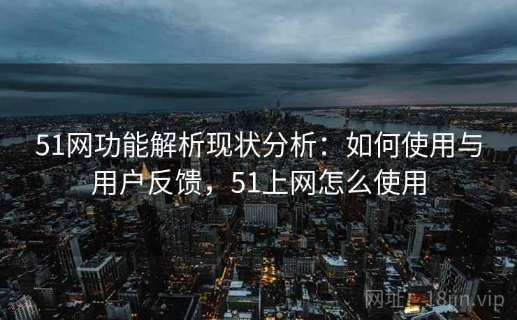 51网功能解析现状分析：如何使用与用户反馈，51上网怎么使用