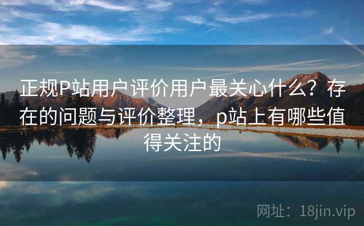 正规P站用户评价用户最关心什么？存在的问题与评价整理，p站上有哪些值得关注的