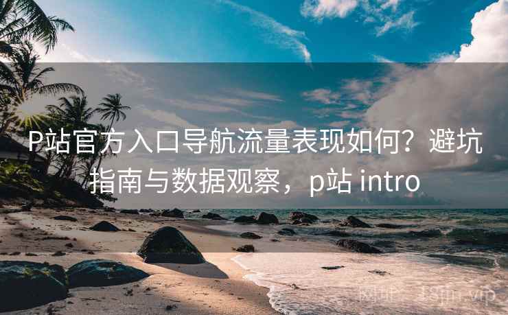 P站官方入口导航流量表现如何？避坑指南与数据观察，p站 intro