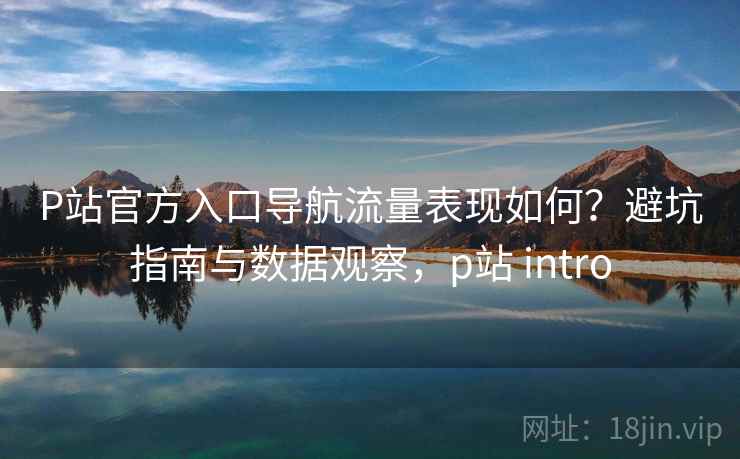 P站官方入口导航流量表现如何？避坑指南与数据观察，p站 intro