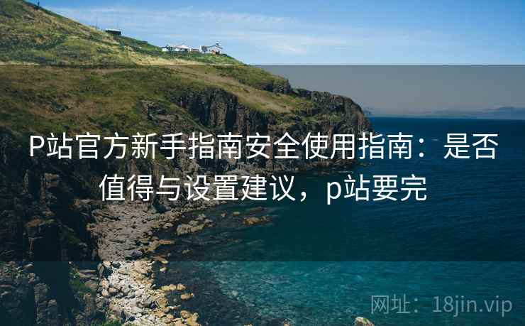 P站官方新手指南安全使用指南：是否值得与设置建议，p站要完