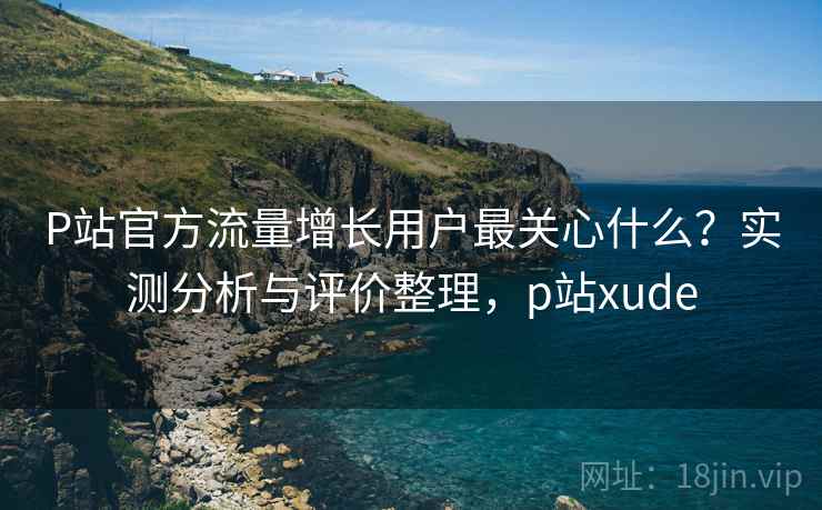 P站官方流量增长用户最关心什么？实测分析与评价整理，p站xude