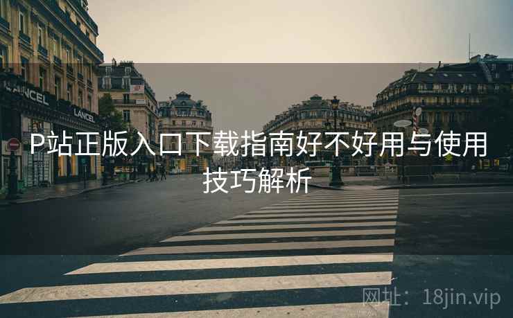 P站正版入口下载指南好不好用与使用技巧解析 P站正版入口下载指南好不好用与使用技巧解析