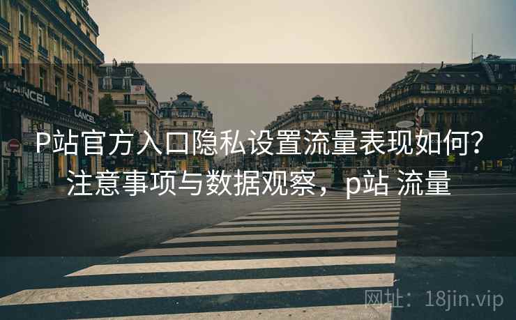P站官方入口隐私设置流量表现如何?注意事项与数据观察,p站 流量 P站官方入口隐私设置流量表现如何?注意事项与数据观察,p站 流量