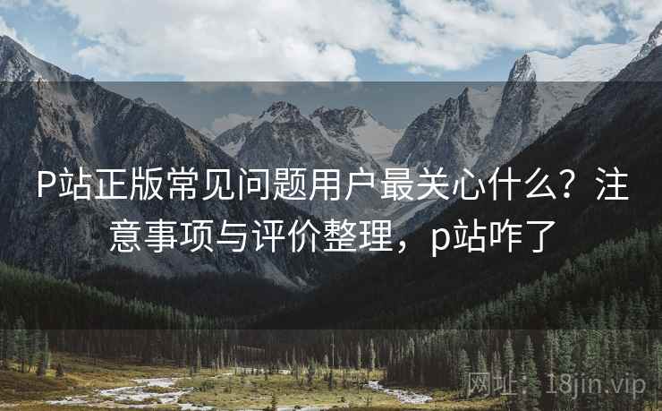 P站正版常见问题用户最关心什么？注意事项与评价整理，p站咋了