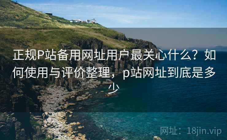正规P站备用网址用户最关心什么?如何使用与评价整理,p站网址到底是多少 正规P站备用网址用户最关心什么?如何使用与评价整理,p站网址到底是多少