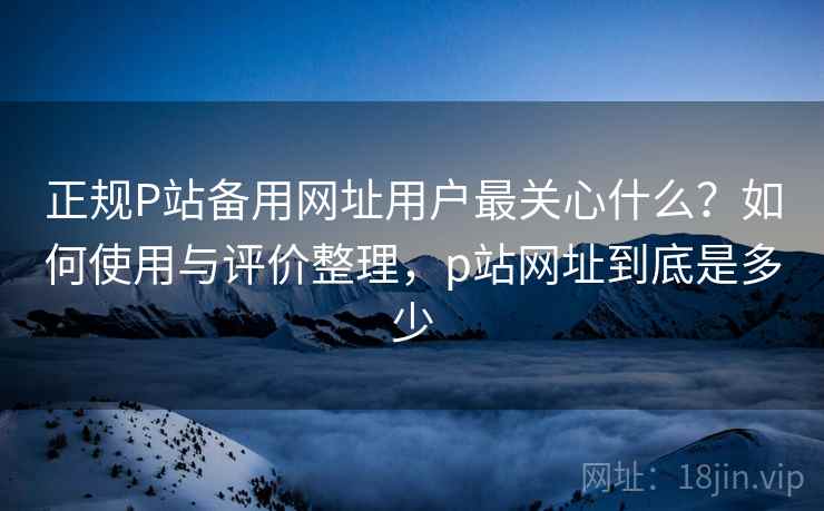 正规P站备用网址用户最关心什么?如何使用与评价整理,p站网址到底是多少 正规P站备用网址用户最关心什么?如何使用与评价整理,p站网址到底是多少