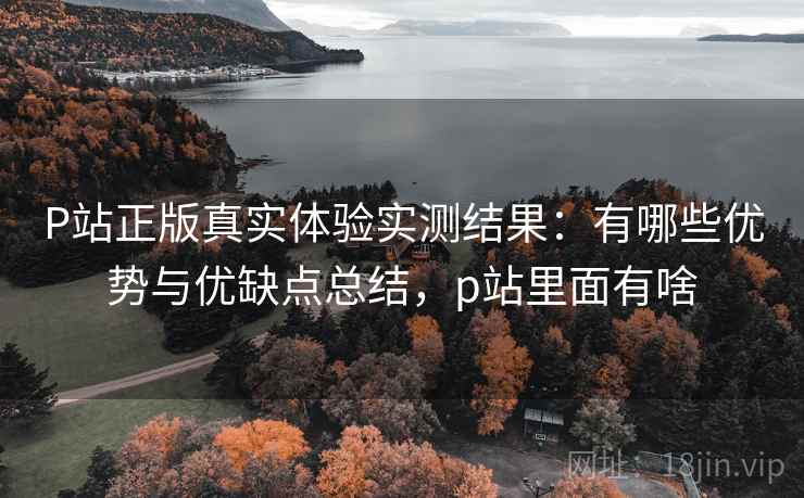 P站正版真实体验实测结果：有哪些优势与优缺点总结，p站里面有啥