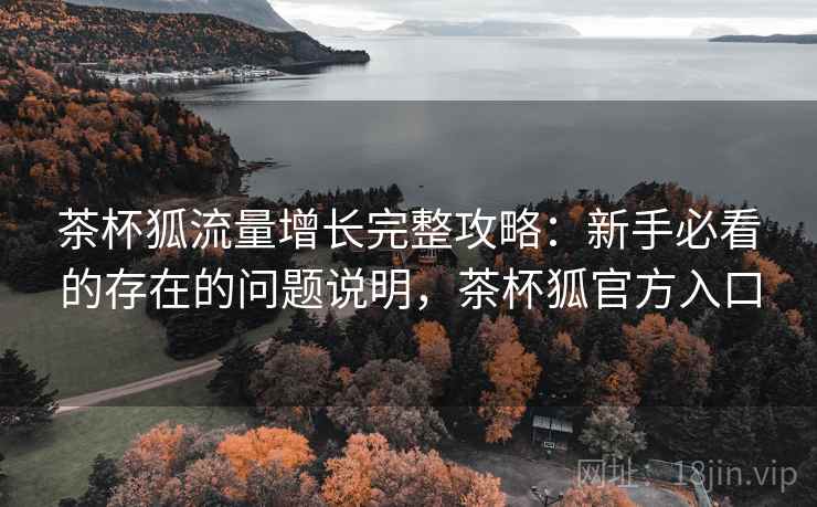 茶杯狐流量增长完整攻略：新手必看的存在的问题说明，茶杯狐官方入口