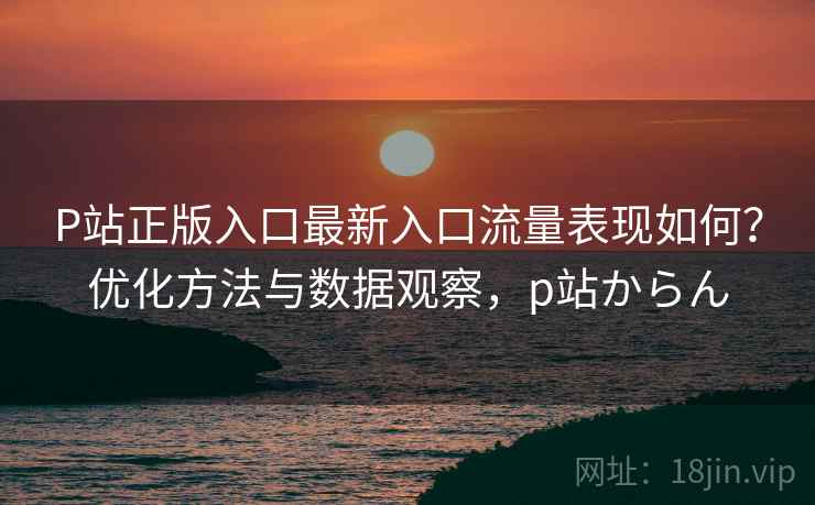 P站正版入口最新入口流量表现如何？优化方法与数据观察，p站からん