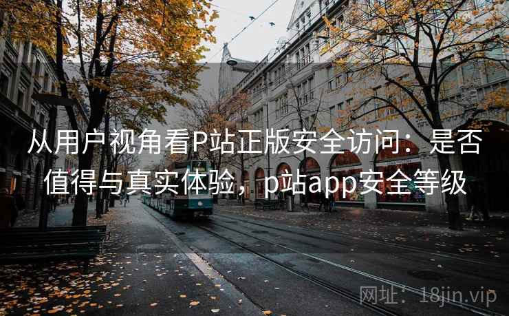 从用户视角看P站正版安全访问：是否值得与真实体验，p站app安全等级