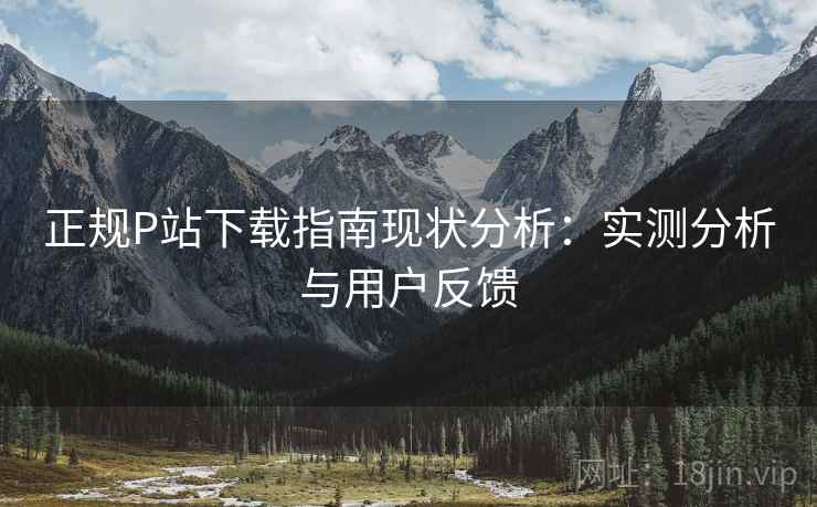 正规P站下载指南现状分析：实测分析与用户反馈