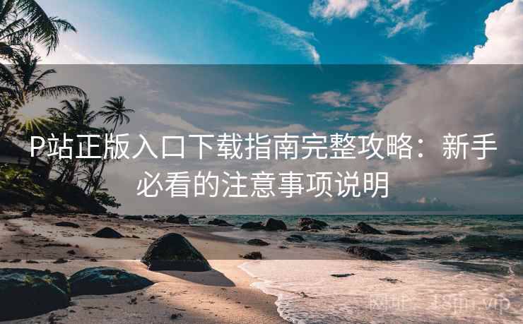 P站正版入口下载指南完整攻略：新手必看的注意事项说明