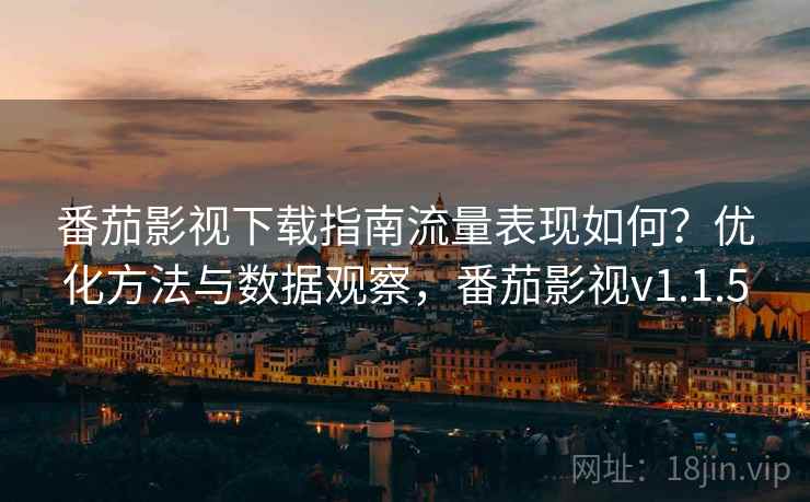 番茄影视下载指南流量表现如何？优化方法与数据观察，番茄影视v1.1.5