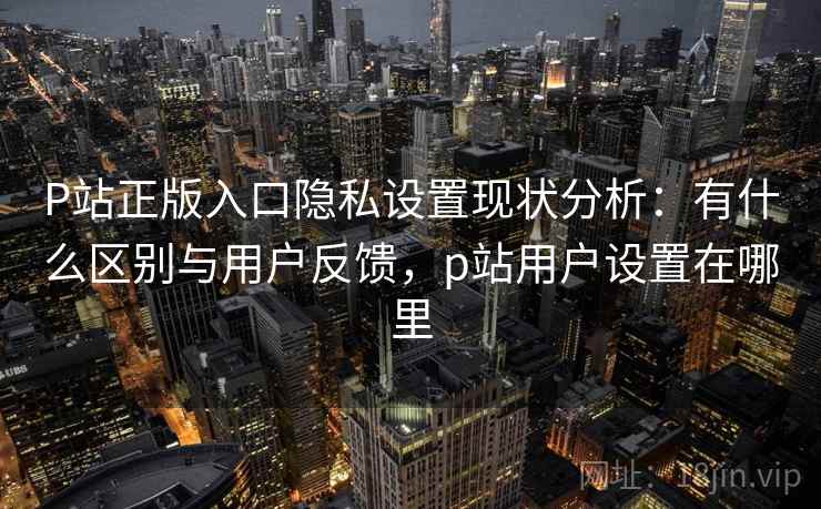 P站正版入口隐私设置现状分析：有什么区别与用户反馈，p站用户设置在哪里