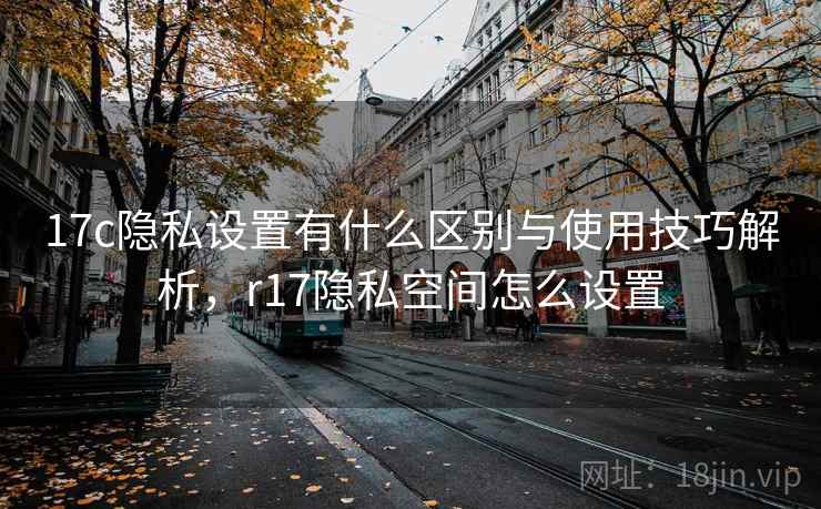 17c隐私设置有什么区别与使用技巧解析，r17隐私空间怎么设置