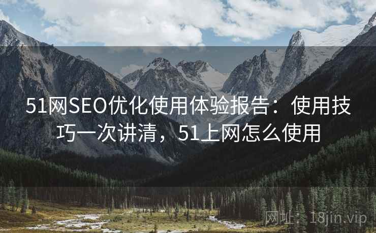 51网SEO优化使用体验报告：使用技巧一次讲清，51上网怎么使用