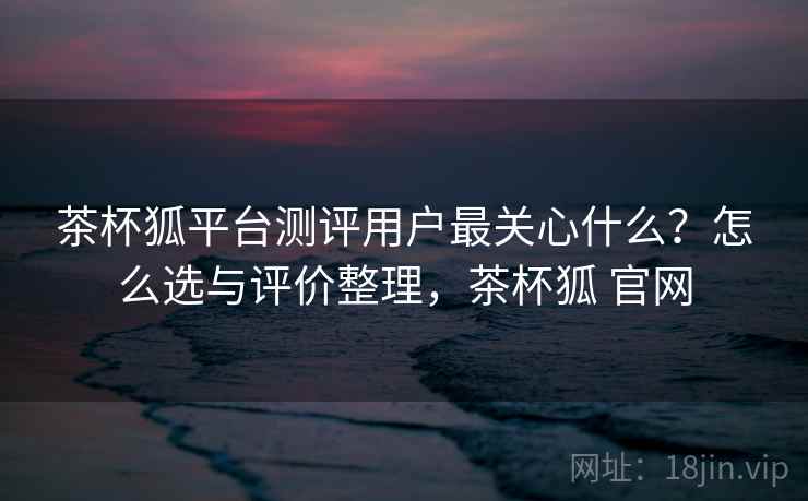 茶杯狐平台测评用户最关心什么？怎么选与评价整理，茶杯狐 官网