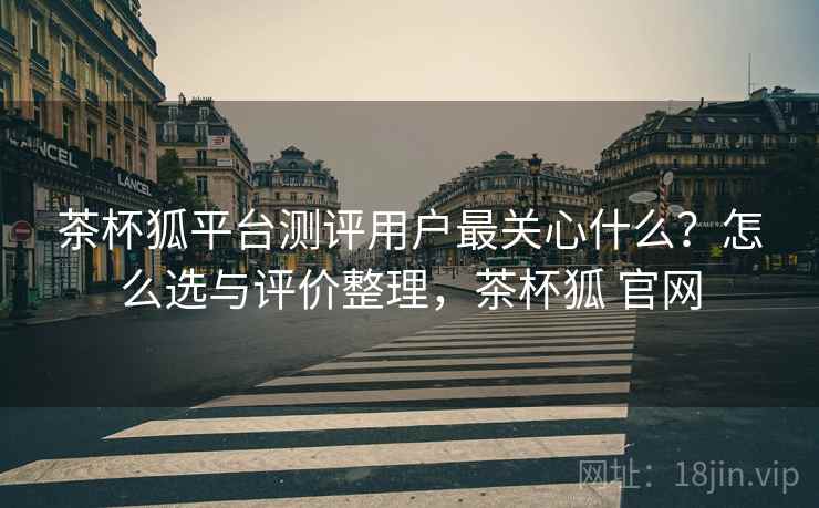 茶杯狐平台测评用户最关心什么？怎么选与评价整理，茶杯狐 官网